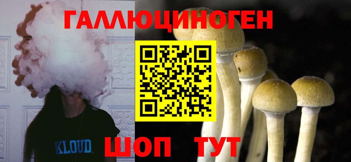 Псилоцибиновые грибы MAGIC MUSHROOMS Ижевск