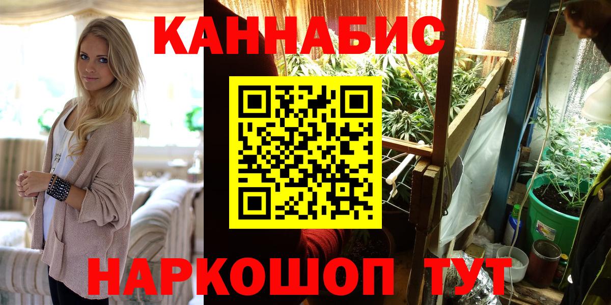 Марихуана план  Каннабис планчик  Ижевск  Вход с VPN 